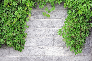 Similar image 2891308