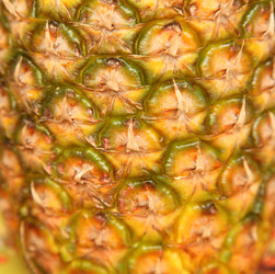 Similar image 2891359