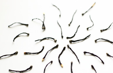 Similar image 2891376