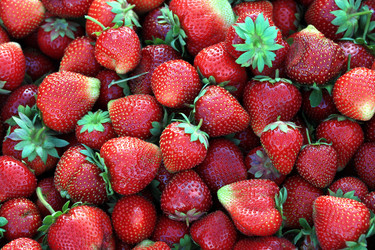 Similar image 2891394