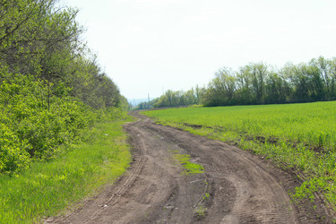 Similar image 2891395