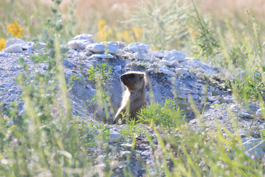 Similar image 2891399