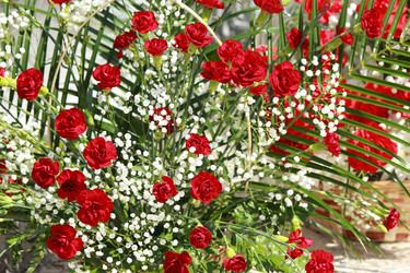 Similar image 2891404