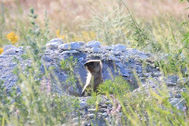 Similar image 2891408