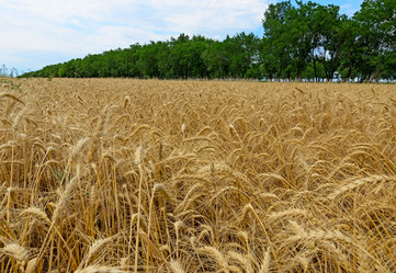 Similar image 2891451