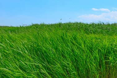 Similar image 2891459