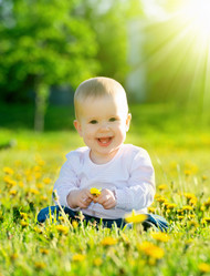 Similar image 2891466