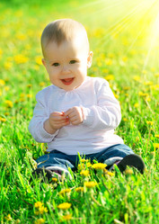 Similar image 2891477