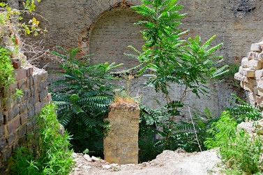 Similar image 2891478