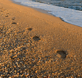 Similar image 2891493