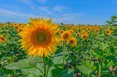 Similar image 2891505