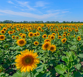 Similar image 2891507