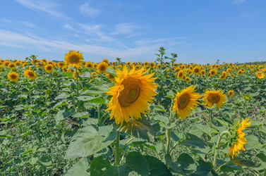 Similar image 2891509