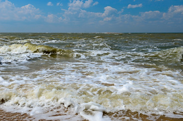 Similar image 2891514