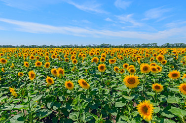 Similar image 2891524