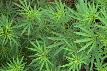 Similar image 2891535