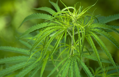 Similar image 2891536