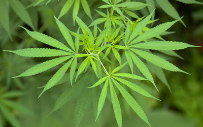 Similar image 2891540