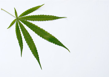 Similar image 2891544