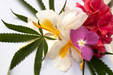 Similar image 2891546