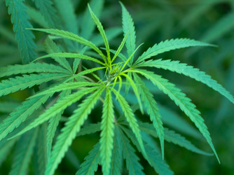 Similar image 2891558