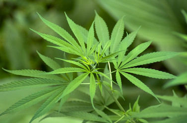 Similar image 2891564