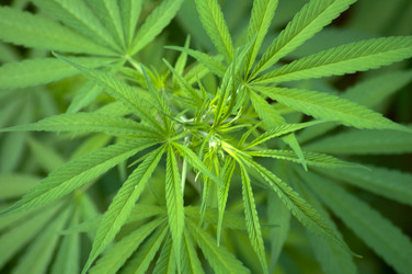 Similar image 2891565