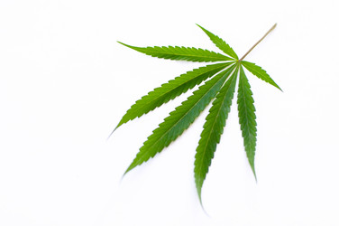 Similar image 2891567