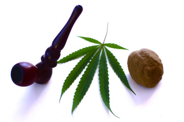 Similar image 2891568