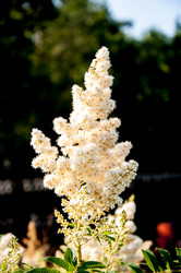 Similar image 2891593