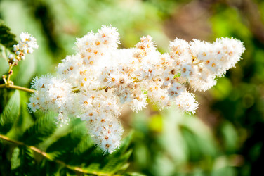 Similar image 2891595