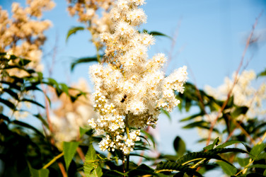 Similar image 2891597