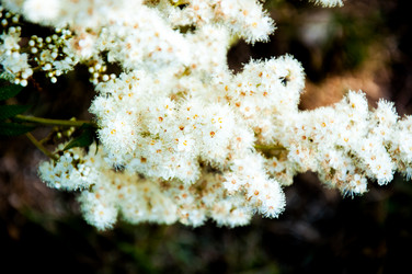 Similar image 2891598