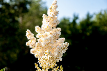 Similar image 2891599