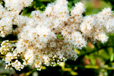 Similar image 2891600