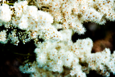 Similar image 2891601