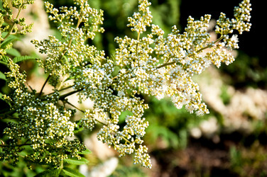 Similar image 2891602