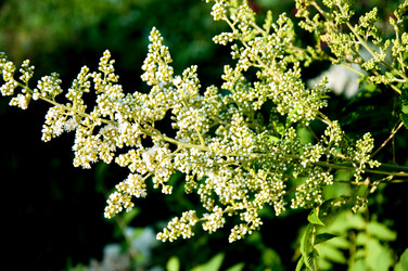 Similar image 2891603