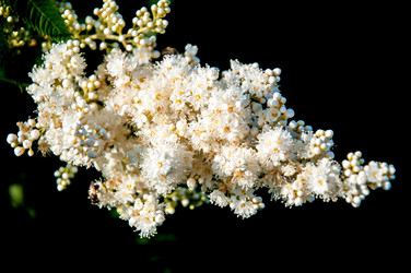 Similar image 2891604