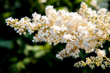 Similar image 2891606