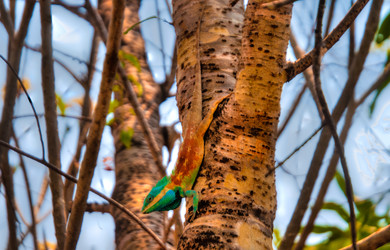 Similar image 2891638