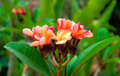 Similar image 2891641