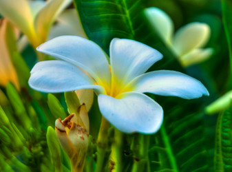 Similar image 2891642