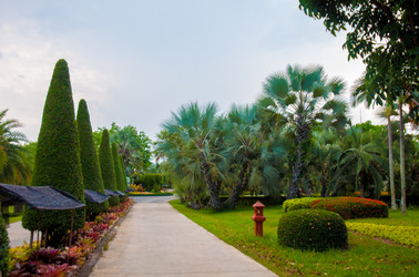 Similar image 2891652