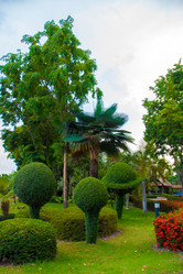 Similar image 2891653