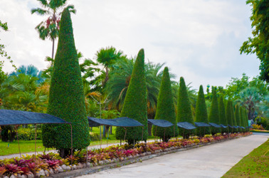 Similar image 2891654