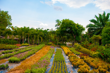 Similar image 2891655