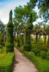 Similar image 2891656