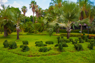 Similar image 2891666