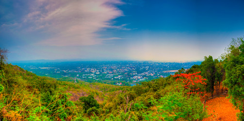 Similar image 2891669